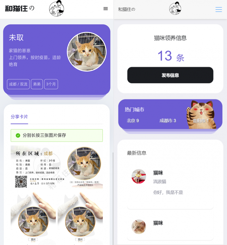 最新流浪猫流浪狗H5完整运营源码下载/可封装APP-免费分享网